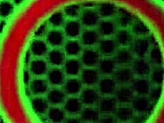 Sexy Mature Kimber Lee In Lingerie Rides Dildo, Big Tits Bouncing On Bed.