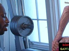 मैं मस्कुलर गे गंद में गहराई तक घुसता हूं