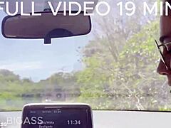 today's sheer video is out now, babes in car enjoying fetish