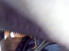 Young girl in pov with small tits and natural body