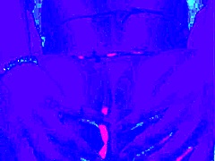 black crossdresser does solo anal finger fuck in bleu room. intriguing masturbation session stretches ass with deep doggystyle fingering moves.