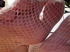 fetish feet mistress elza koms? dominating with panty sniffing and wet pussy lips in lingerie glamour?