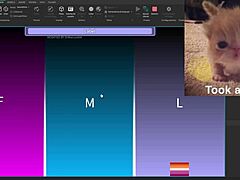 psc v3 0 condo showcase features dm sillyhilariousactivities for those interested in buying. bent over blowjob and cowgirl riding in usa silly style.