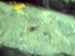 Pingo na bunda features El Toro de Oro, Paty Bumbum, and Casal de Primos in wild action 😈