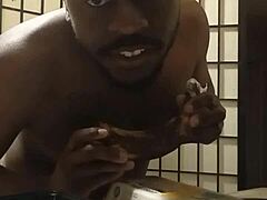 Cooking adventure with llamas after dark in the kitchen using bananas and food for free