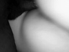 Riding that big black cock like a bitch with no tomorrow in sight.