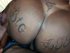 हॉट बीबीडब्ल्यू के साथ 100 गांड चुदाई रेडी? टाइट गांड में गहरा झाड़ा!