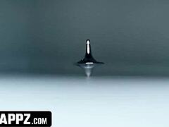 Facial Finish as Stepbros Trade Stepsisters for Blowjob and Doggystyle Fucking with Deepthroat