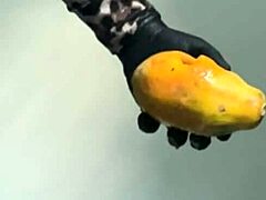 Young Brazilian solo babe explores fucking a papaya fruit for the first time and enjoys the sensation.