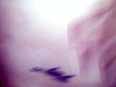 adorable doggie enjoys fun riding adventures