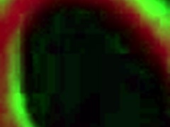 nikki benz says she loves riding and scissoring with big tit blonde babe in lingerie