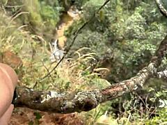 Latin couple sneaks sex in forest on the sly - danner mendes & yenifer chacon - free