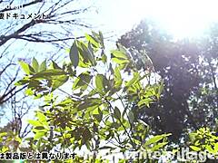 Hey, check out this first-time Japanese wife's wild adventure!