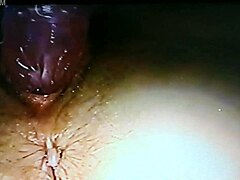 Blindfolded wife gets fucked hard with rabbit toy in homemade video