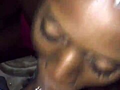 Slim Temptress Takes on Thick Shaft in Oral Adventure