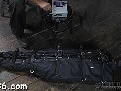 Flogging BDSM Stories Collection