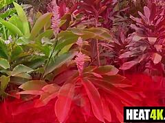 goth milf melanie hicks in big tits blowjob and hardcore taboo pov with ace bigs in greenhouse of gotham parody trailer