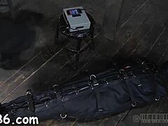 Flogging BDSM Stories Collection