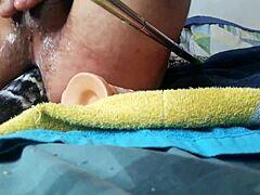 My playful ass craves toys! Insert that buttplug deep!