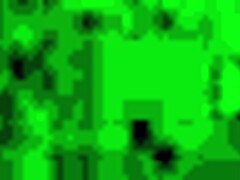 i'm an argentinian prostitute kneeling for blowjob