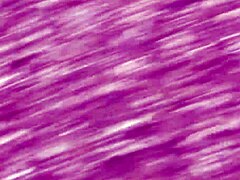 Valeria The Lover Of Carrara