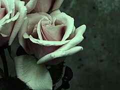 hey, check out mcr's i don't love you with spanish subs 😎