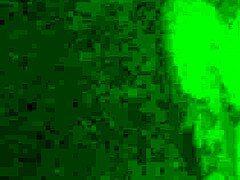 Real Cuckold Brazilian Slut Gives Ass to Muscular Lover with Monster Cock Bareback