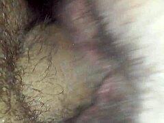 Rica cogida with amateurs bent over in hardcore action