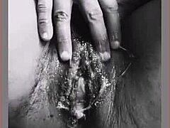 sarah fonteyna spreads her dirty pussy wide for a massive creampie explosion