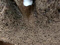 How three loads filled her creamy ebony pussy just right