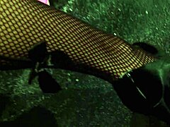 aww, cute blonde straps up to fuck busty redhead silly 👩‍❤️‍💋‍👩🍆💋