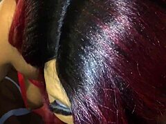 allan tulip owns lela star latin candy head game next