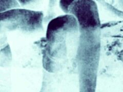 these vintage erotic drawings get my cock so damn hard