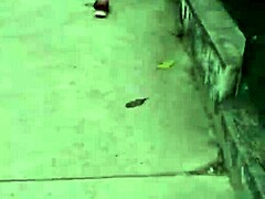 Gostosa shows off her stunning curves and playful vibe everywhere she goes! 😍🔥✨