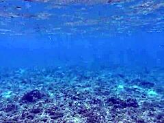 check this cute asian flashing her huge dildo toy