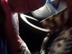 Quickie blowjob from shemale in the car got you hard?