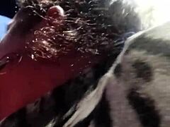 Quickie blowjob from shemale in the car got you hard?