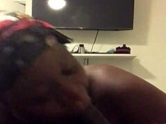 bbw amateur chubby casting deepthroats fat cock on bed