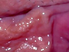 Amateur Japanese Wife's Shaved Pussy Close-Up 343 Days Post-Virginity