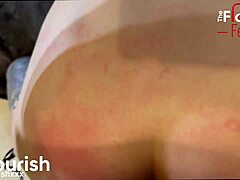 Salem Wolfe penthouse bdsm anal creampie interracial buttplug by mrflourish