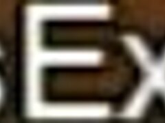 Curious Exotic Indian Pair Experiments with Intense Oral Cumshot Play