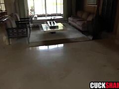 Cuckold Husband Spies Milf Wife's Sloppy Blowjob Hardcore Fucking Cheating Session