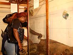 caroline sweets stretched wide by huge bbc in real interracial pounding