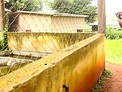 caroline sweets stretched wide by huge bbc in real interracial pounding