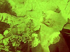 vintage 1860s vs 1960s porn blowjob challenge?