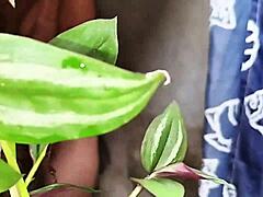 latina bends over for BIG COCK doggystyle cumshot ducha caliente