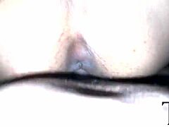 College Sluts Railed Hard by Massive Black Cocks Orgy!