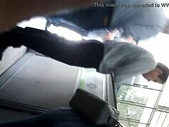 Tight Leggings Hug Curvy Hips Perfectly