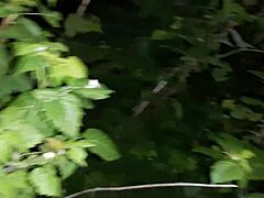 hairy pussy cums hard masturbating in public country toilet at night