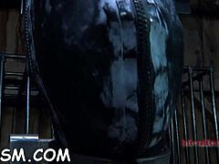 T Beauty's Tight Fuck Holes Pounded Hard!